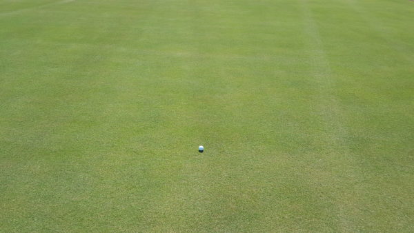 Golf ball sitting on Mach 1 grass