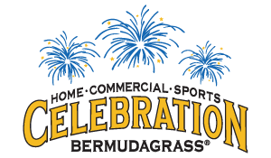 celebration_bermudagrass