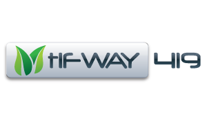 tifway-419