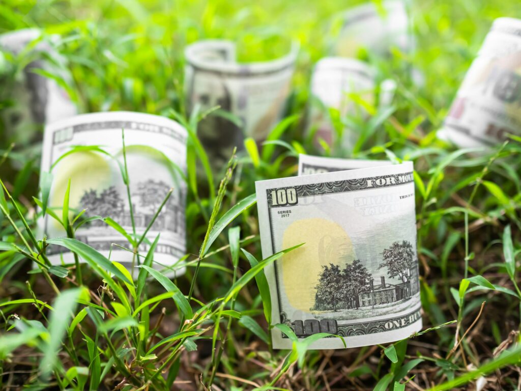 Bank Note DollarUS. on Green Grass Background